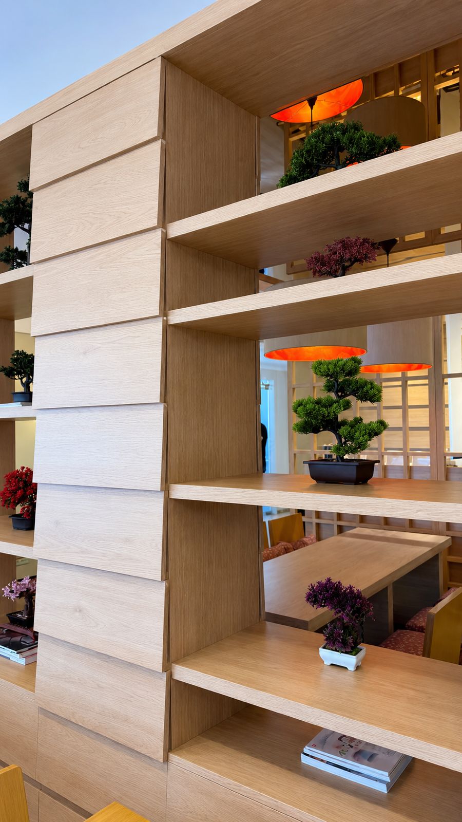 Bibliothèque en chêne clair et bonsaïs